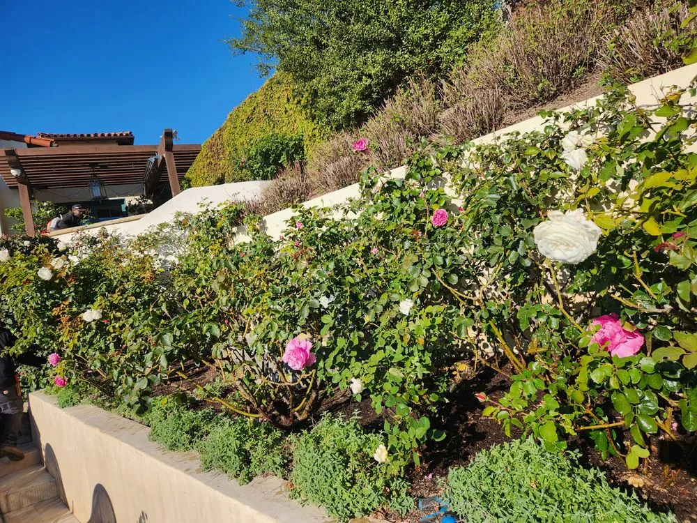 Trusted garden landscaping in Goleta, CA - V&B Landscape