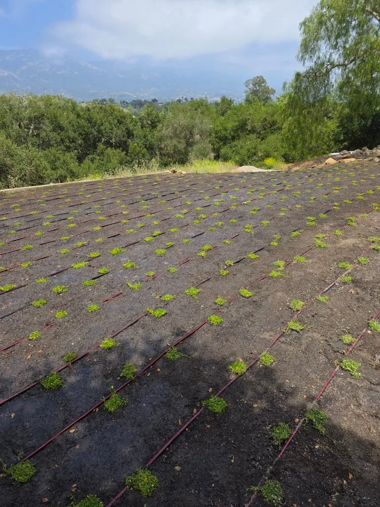 Affordable outdoor landscaping for year-round maintenance across Goleta, CA - V&B Landscape