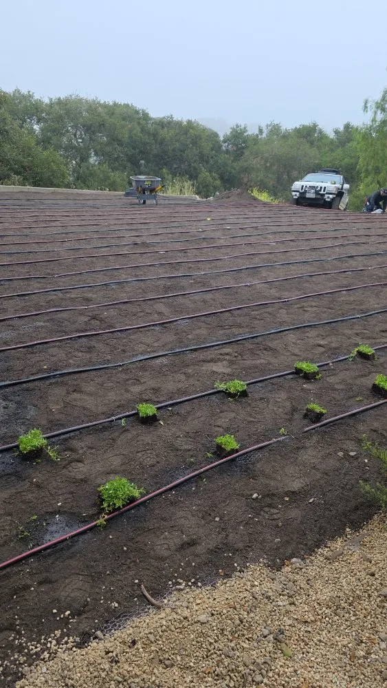 Expert yard cleanup service in Goleta, CA - V&B Landscape