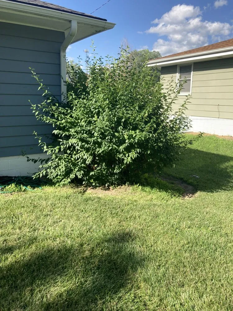 Trusted garden landscaping in Omaha, NE - Vb Landscaping
