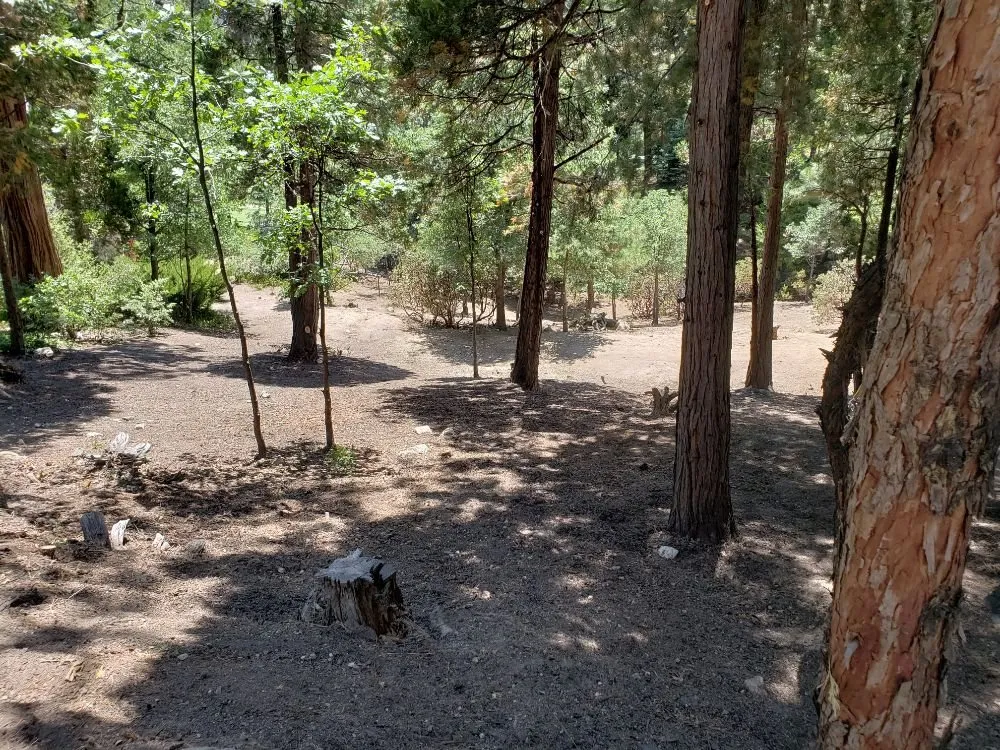 Reliable landscape installation in Twin Peaks, CA - VB Landscaping