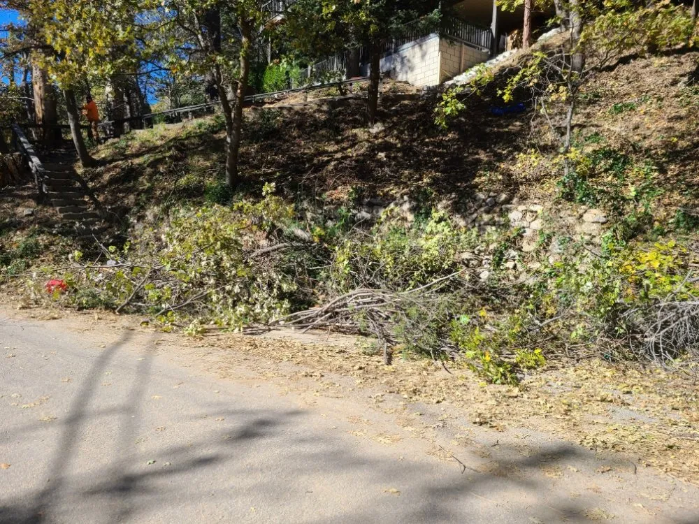 Custom lawn mowing service for residential properties across Twin Peaks, CA - VB Landscaping