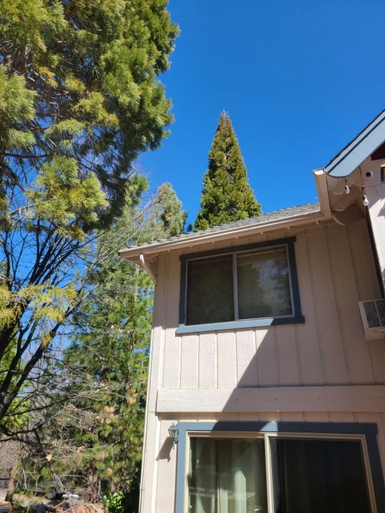 Trusted landscape design in Twin Peaks, CA by VB Landscaping