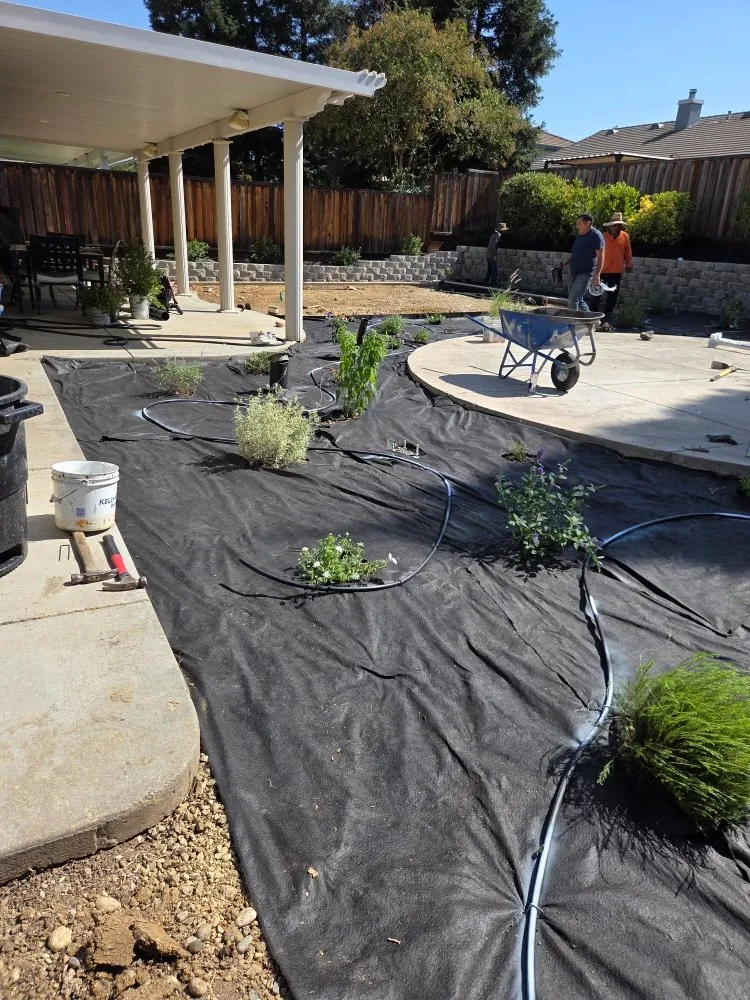 Local landscaping services for homes across Roseville, CA - VC Landscaping & Designs
