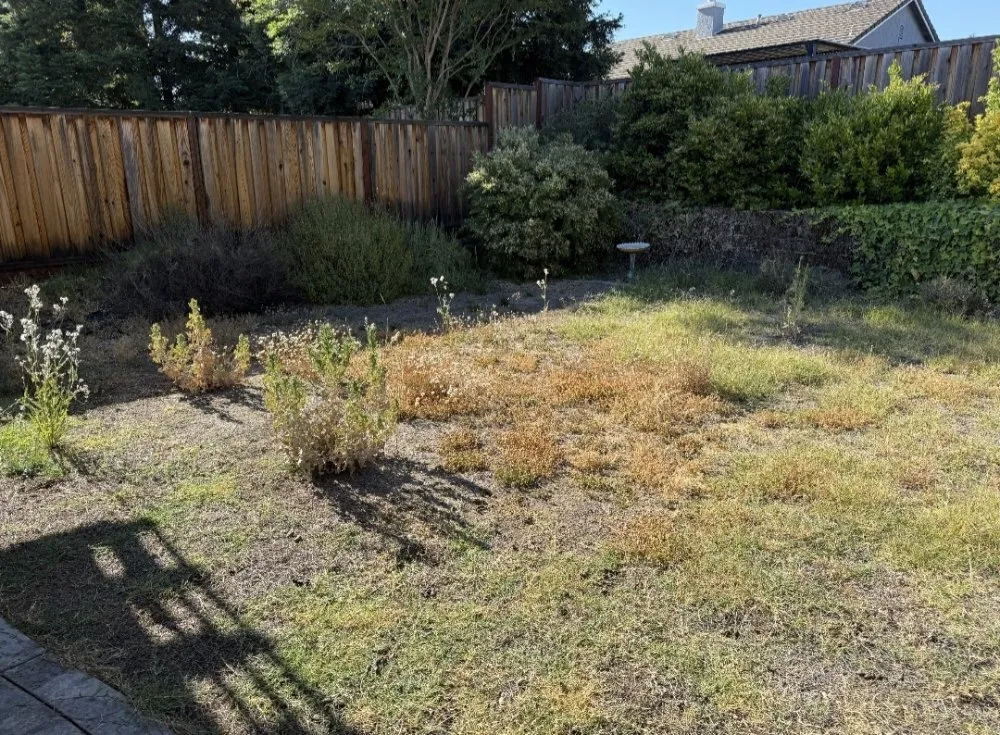 Local landscaping services for outdoor upgrades in Roseville, CA by VC Landscaping & Designs