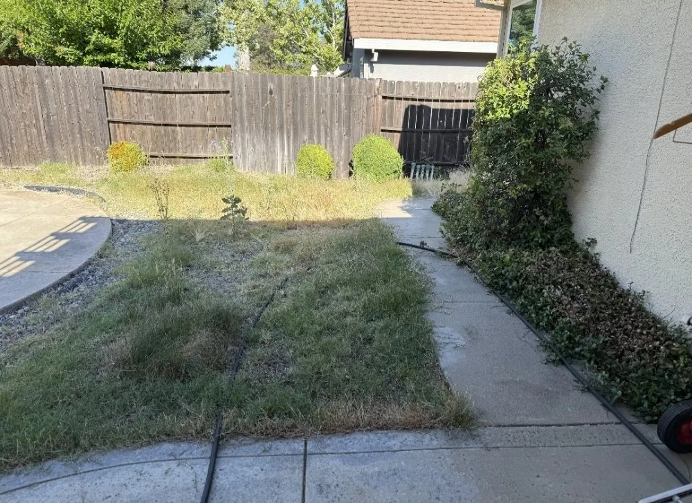 Top-rated outdoor landscaping for beautiful yards across Roseville, CA - VC Landscaping & Designs