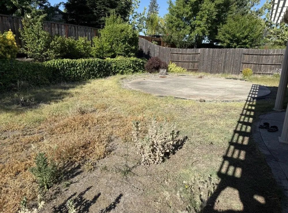 Local yard maintenance for residential properties in Roseville, CA by VC Landscaping & Designs