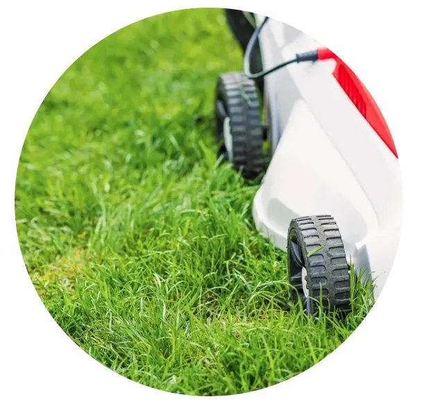 Top-rated yard cleanup service in Milwaukee, WI - Vc Landscaping