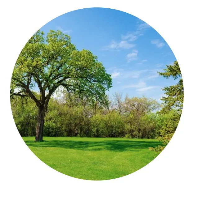 Expert yard cleanup service in Milwaukee, WI by Vc Landscaping