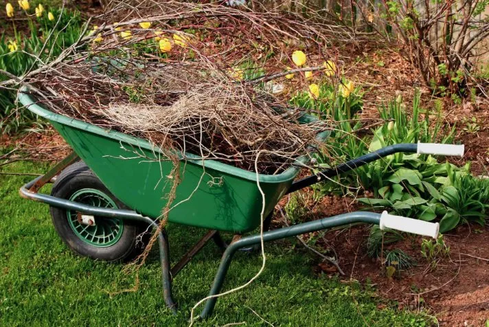 Local lawn care service experts serving Milwaukee, WI - Vc Landscaping