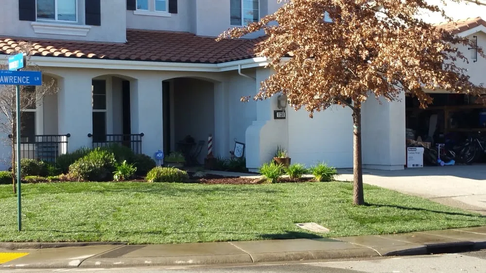 Reliable yard cleanup service with custom design in Lincoln, CA by VC Lawn care