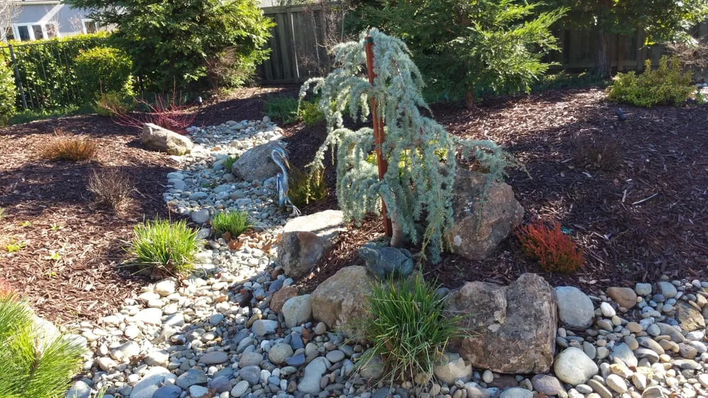 Expert landscaping services in Lincoln, CA - VC Lawn care