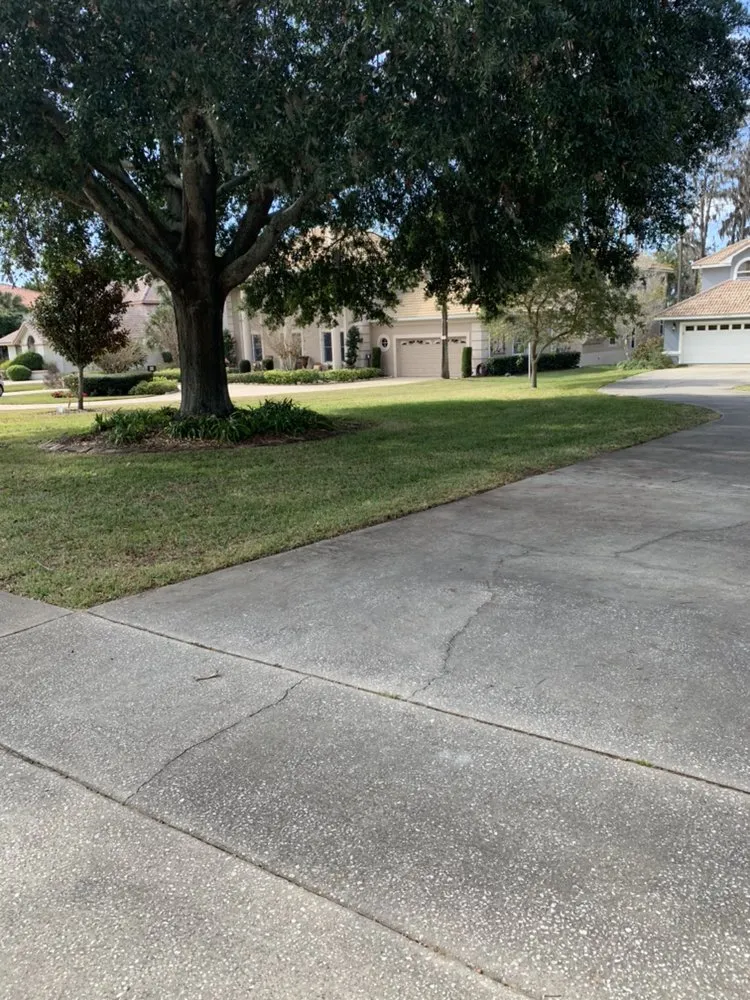 Affordable yard cleanup service in Ocoee, FL - Vc Lawn Care