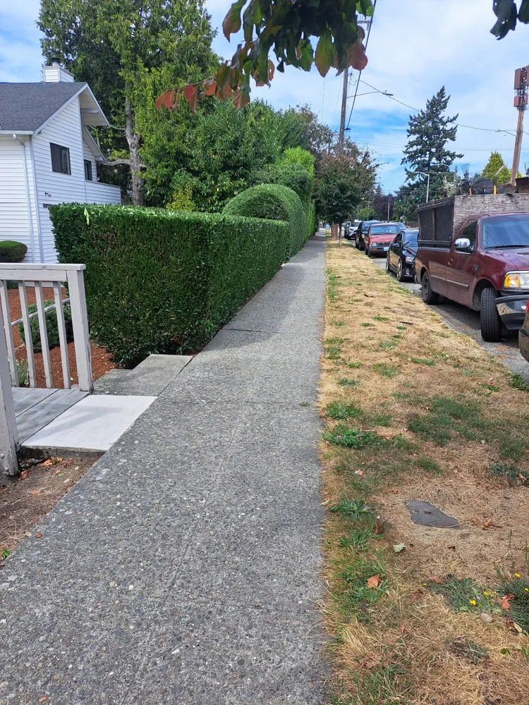 Professional garden landscaping for year-round maintenance across University Place, WA - VC Lawn Maintenance
