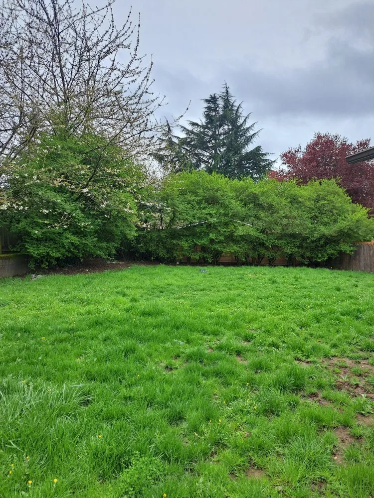 Custom landscape design with custom design across University Place, WA - VC Lawn Maintenance