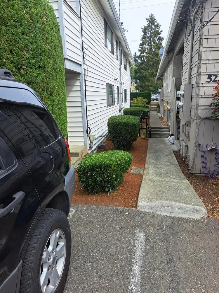 Top-rated landscape installation for homes across University Place, WA - VC Lawn Maintenance