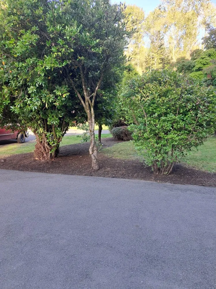 Trusted landscape design near you in University Place, WA by VC Lawn Maintenance