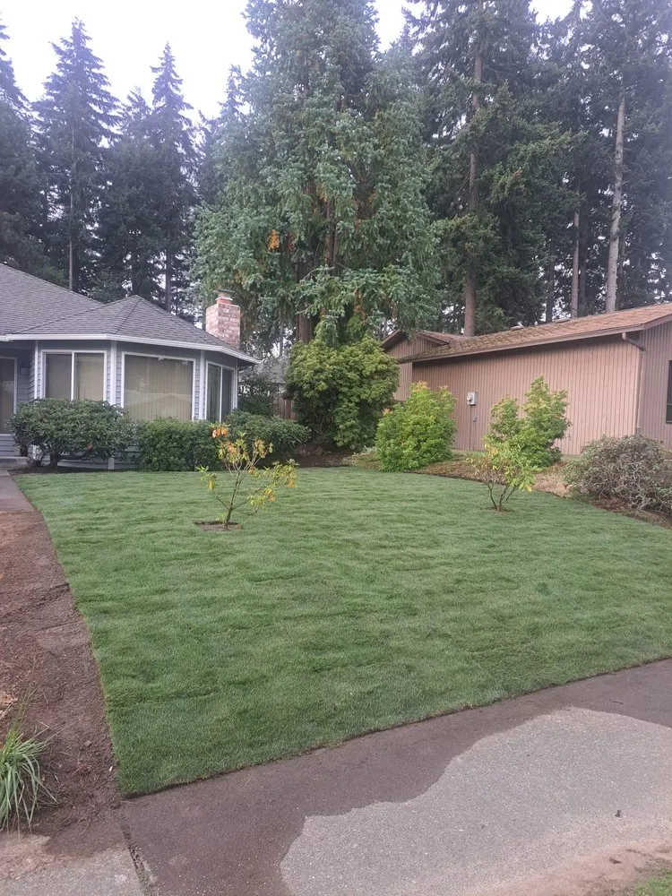 Trusted lawn care service in University Place, WA by VC Lawn Maintenance