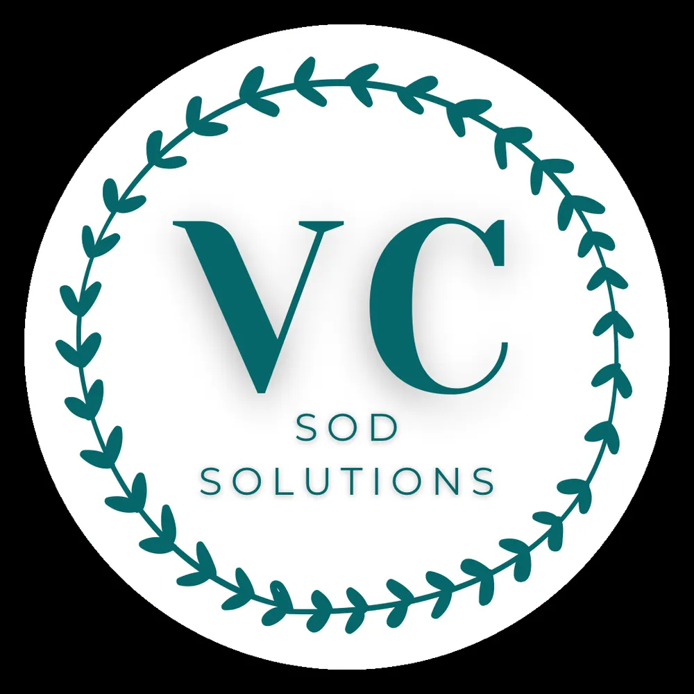 Local yard cleanup service experts serving Lakeland, FL - VC Sod Solutions