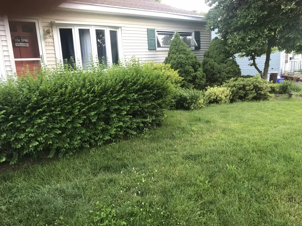 Top-rated yard cleanup service in Jamestown, NY by VCM Landscaping