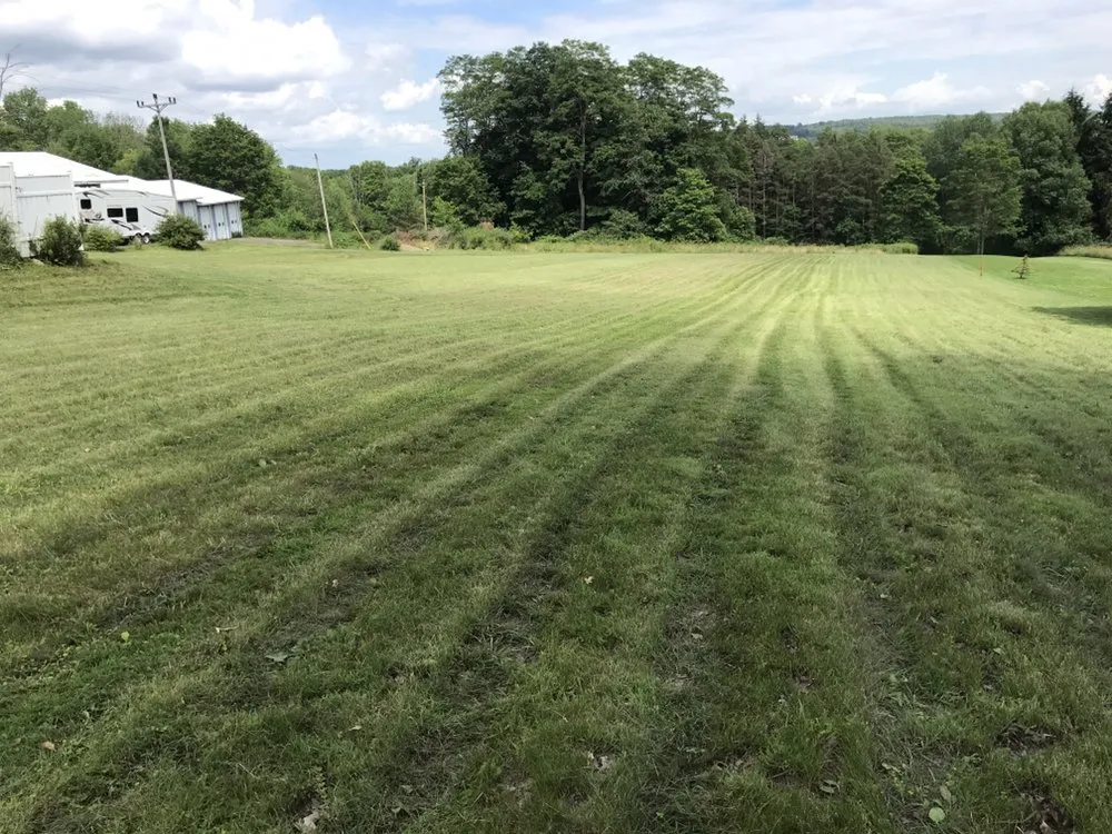 Expert yard cleanup service experts serving Jamestown, NY - VCM Landscaping