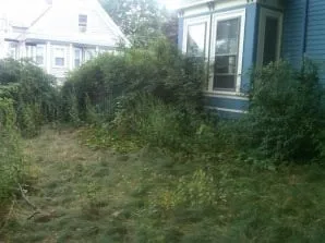 Affordable lawn mowing service for residential properties in Saugus, MA by VCO Landscaping