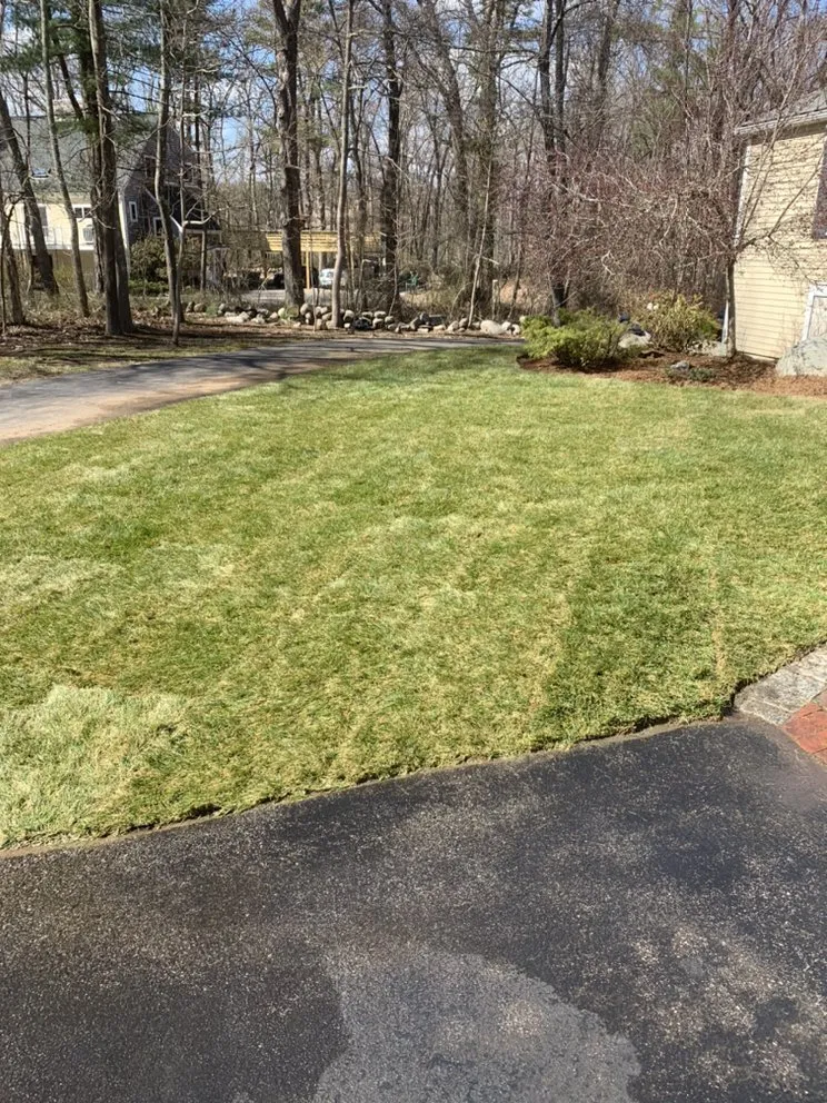 Professional lawn care service near you across Rockland, MA - Vcoelho General Services