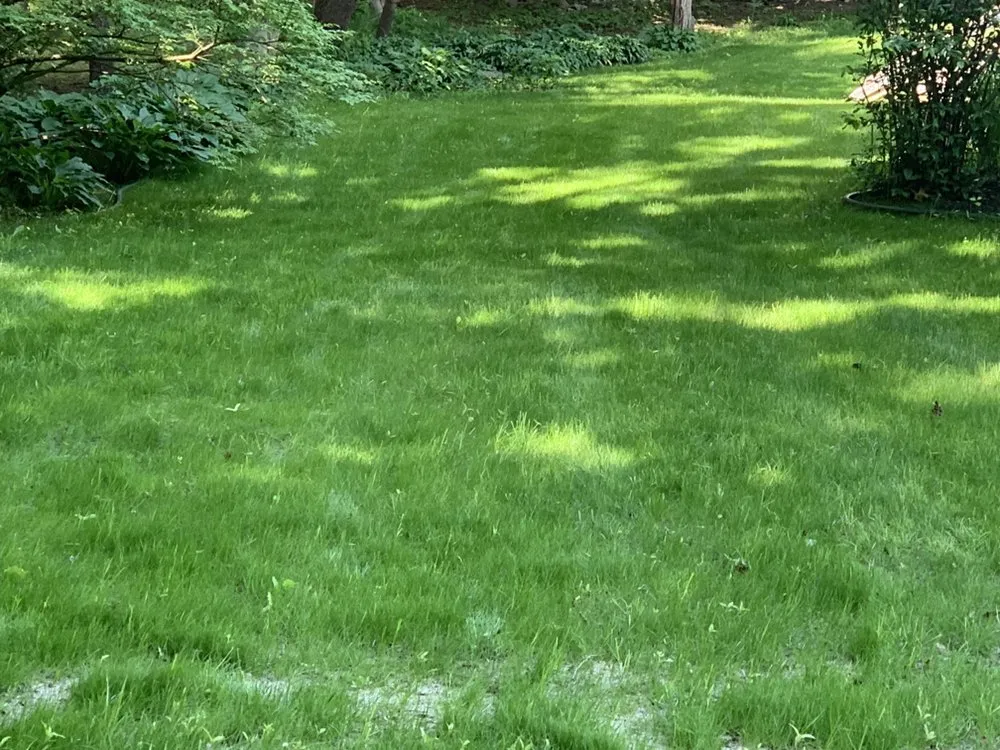 Affordable landscape design in Rockland, MA - Vcoelho General Services