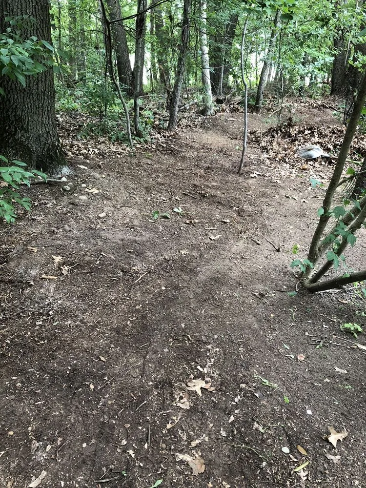 Affordable outdoor landscaping for year-round maintenance in Rockland, MA by Vcoelho General Services