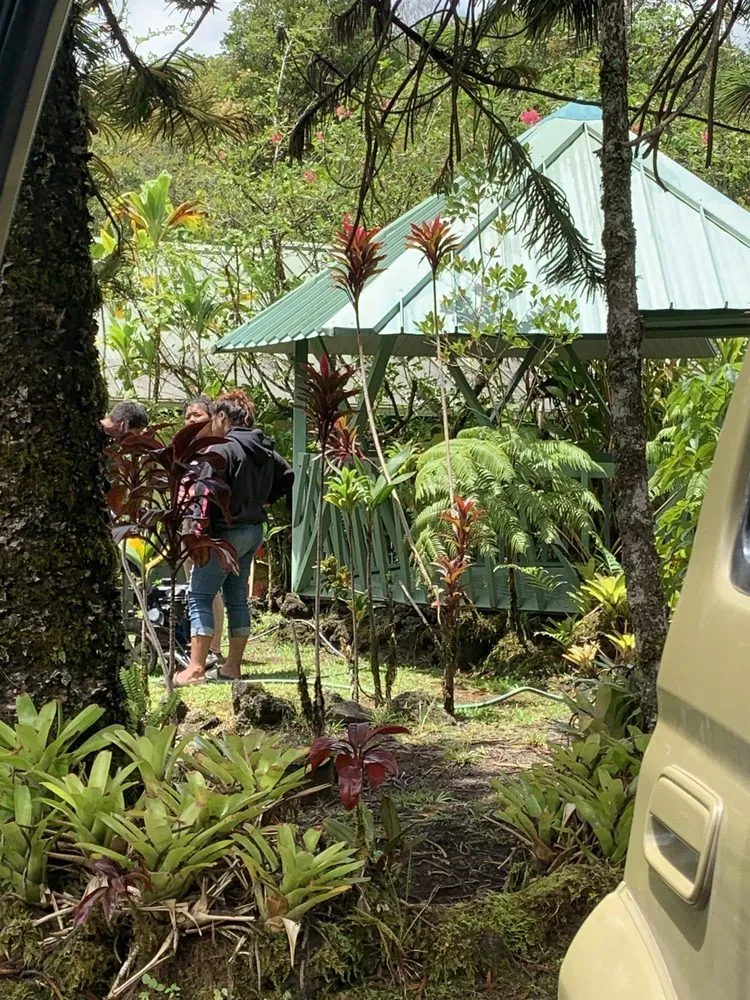 Expert landscape installation near you in MT View, HI by VCS Home & Yard Services