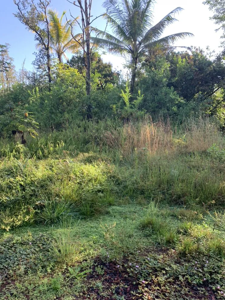 Trusted landscaping services for homes in MT View, HI by VCS Home & Yard Services