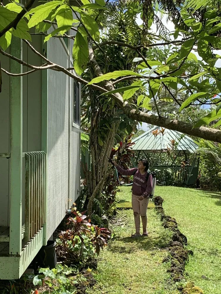 Affordable garden landscaping experts serving MT View, HI - VCS Home & Yard Services
