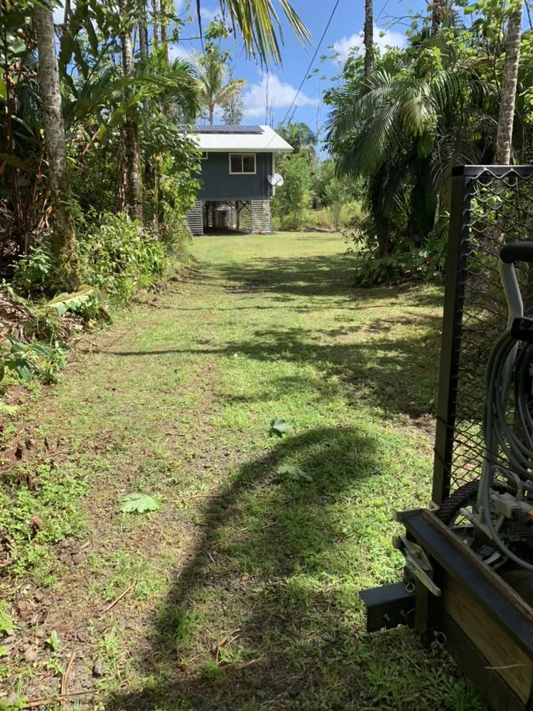 Professional yard cleanup service in MT View, HI - VCS Home & Yard Services