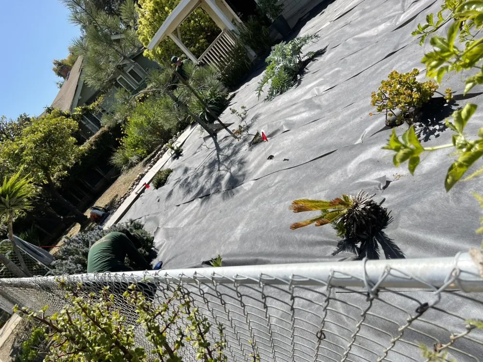 Reliable lawn mowing service for beautiful yards across National City, CA - VCS Landscaping