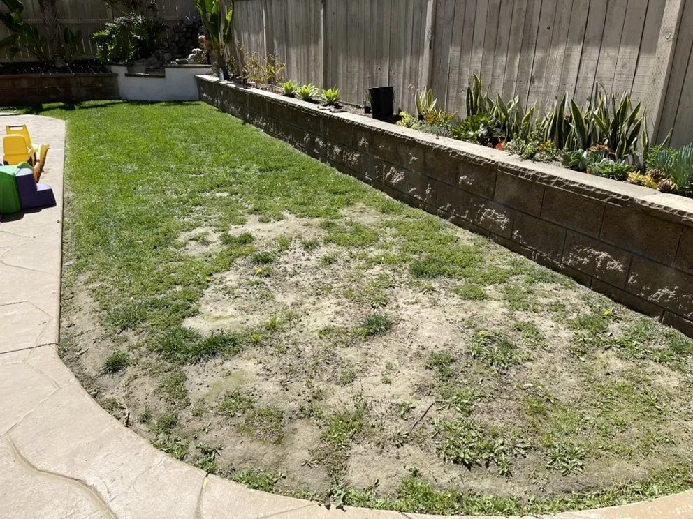 Professional yard maintenance near you in National City, CA by VCS Landscaping