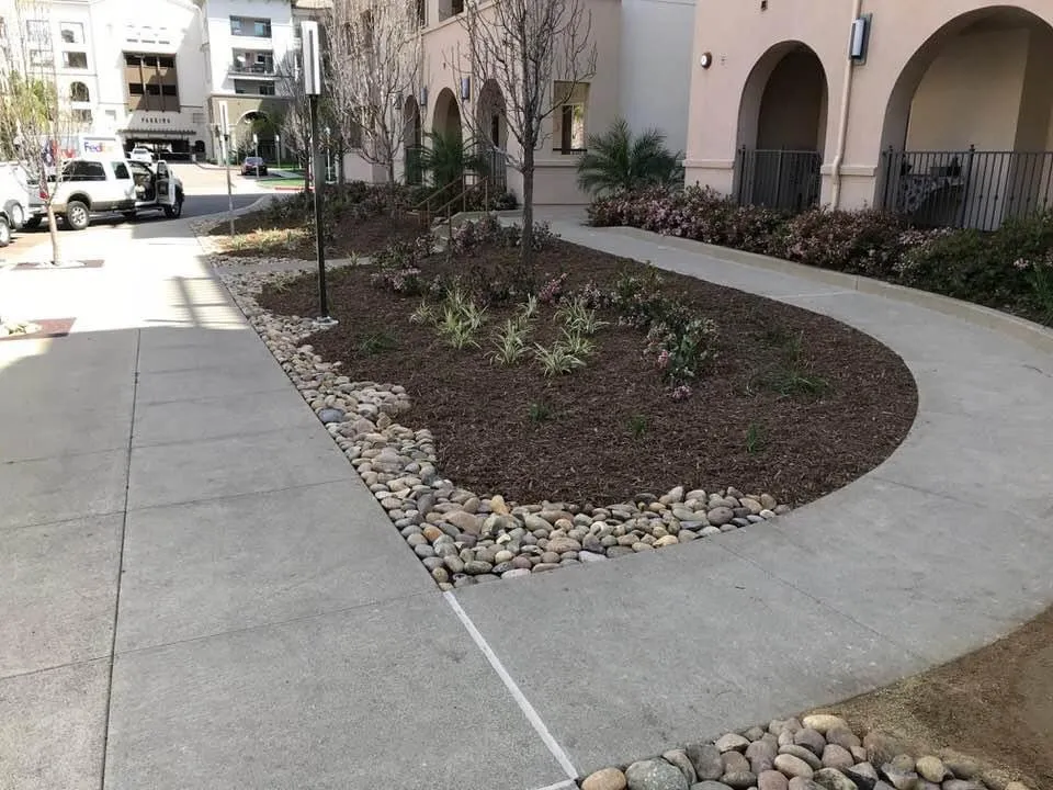 Professional yard maintenance experts serving National City, CA - VCS Landscaping