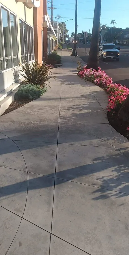 Expert yard cleanup service near you across National City, CA - VCS Landscaping