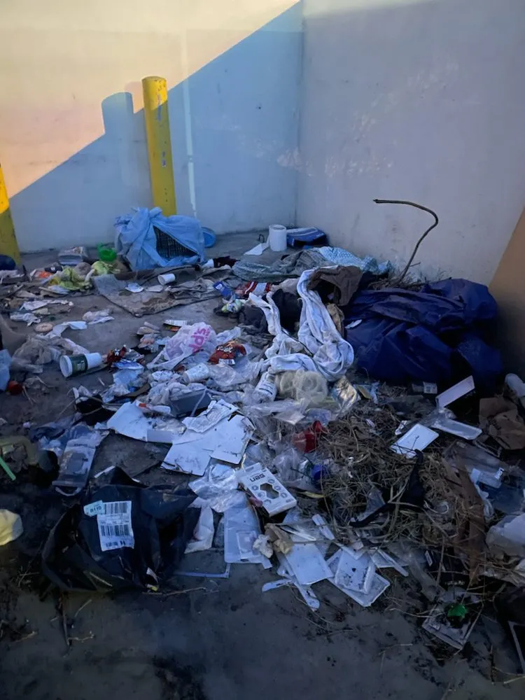 Top-rated landscape installation in National City, CA by VCS Landscaping