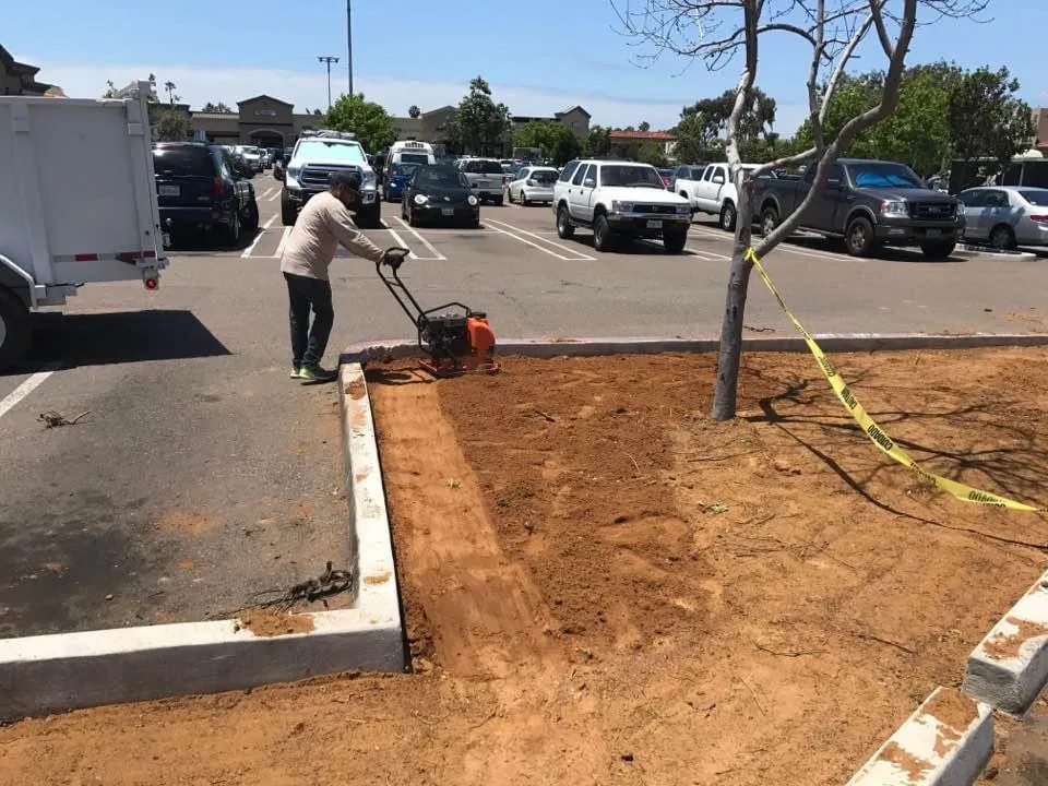 Top-rated yard cleanup service experts serving National City, CA - VCS Landscaping