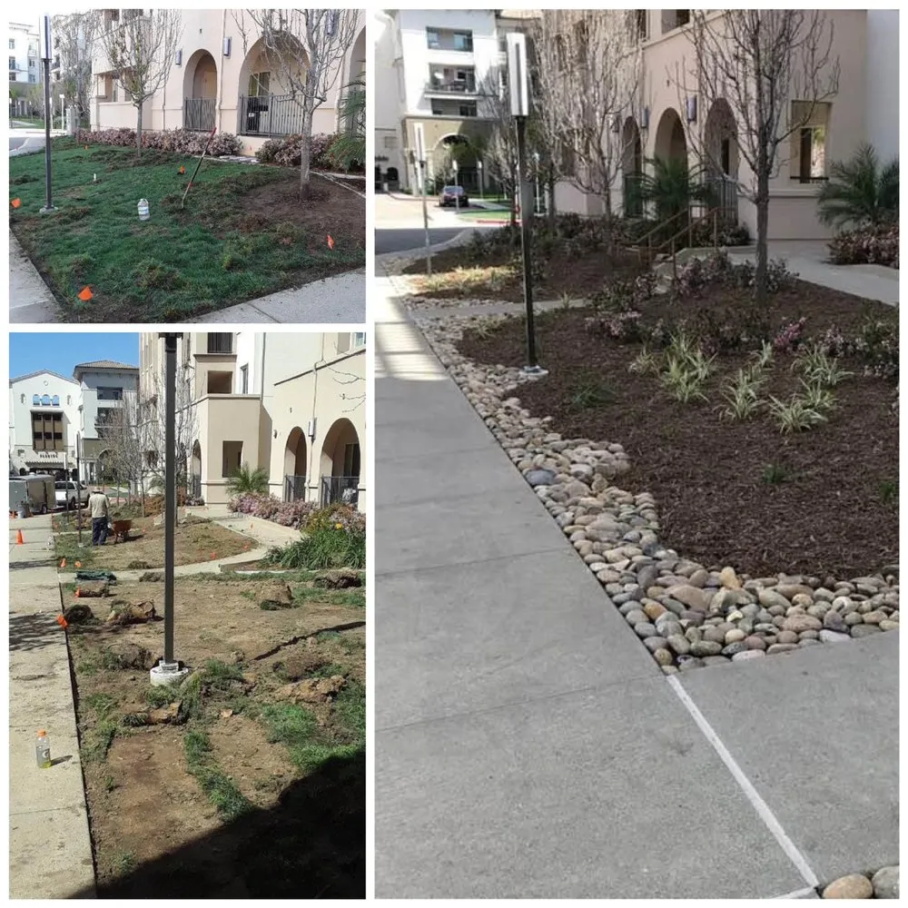 Trusted yard cleanup service in National City, CA by VCS Landscaping