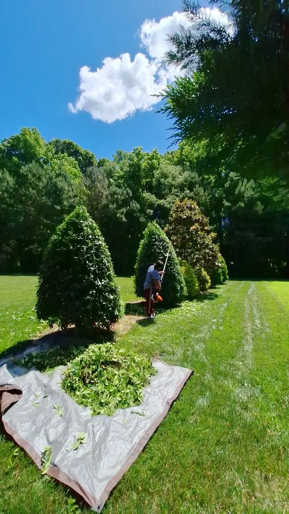 Trusted outdoor landscaping in Fuquay-Varina, NC by VD Landscaping