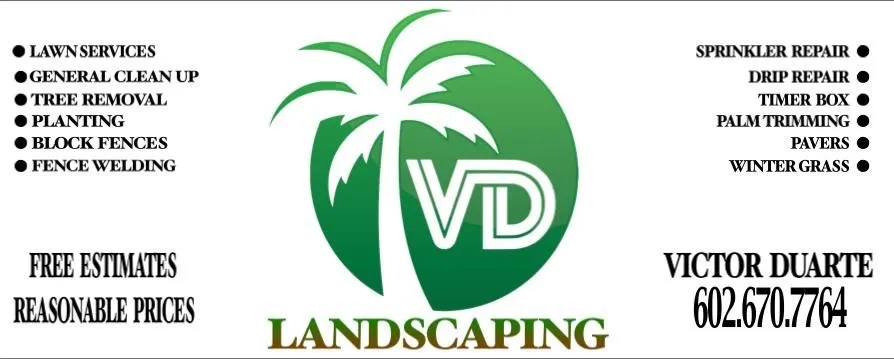 Top-rated lawn care service in Mesa, AZ - VD Landscaping
