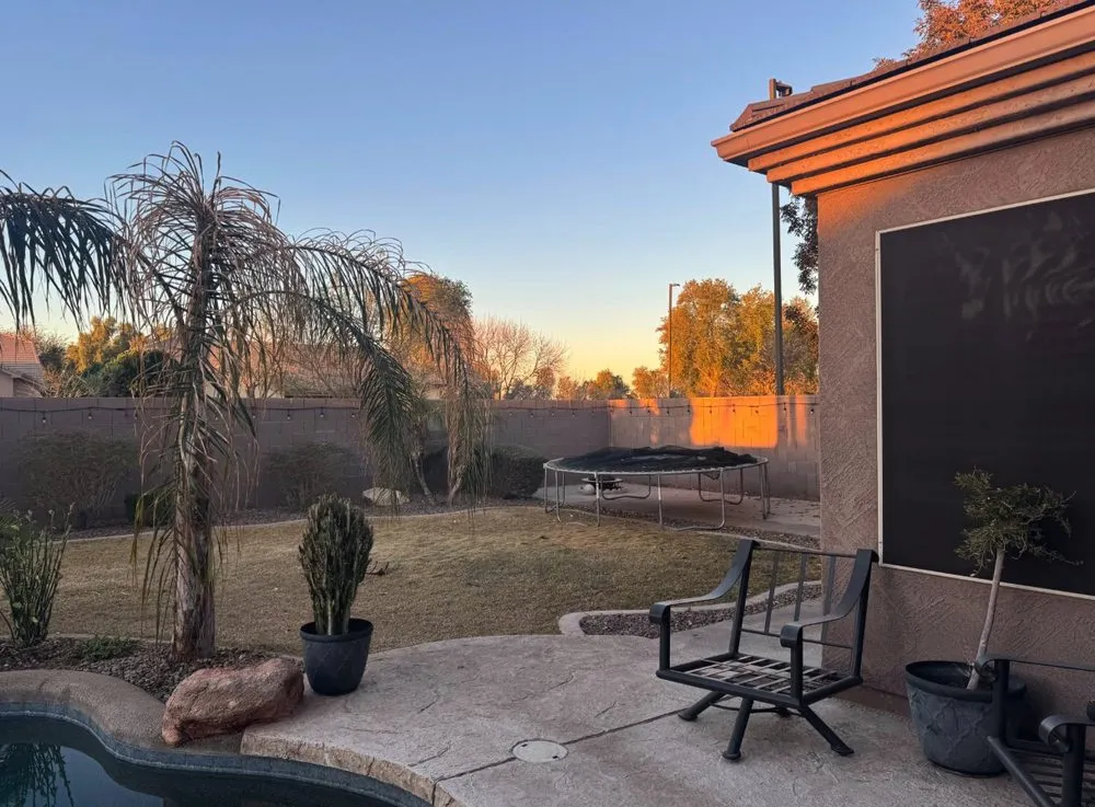 Expert yard cleanup service experts serving Mesa, AZ - VD Landscaping