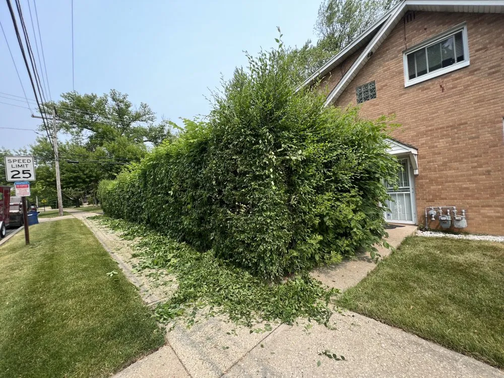 Professional lawn care service in Zion, IL - V&D Landscaping