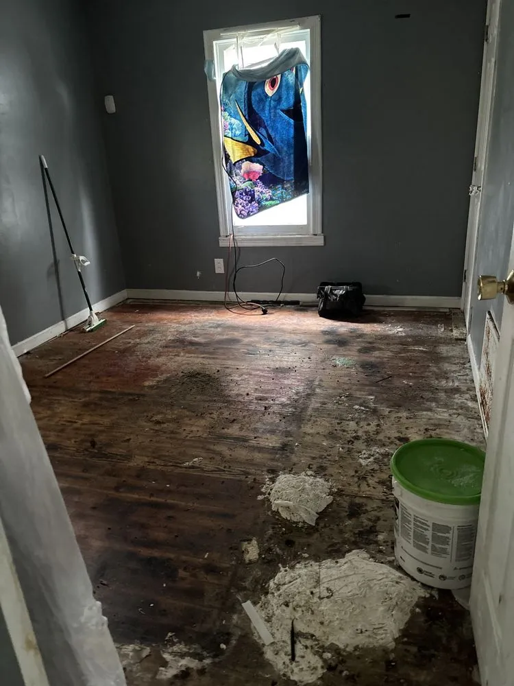 Trusted outdoor landscaping in Greenfield, IN by V&D Real Estate Junk Removal