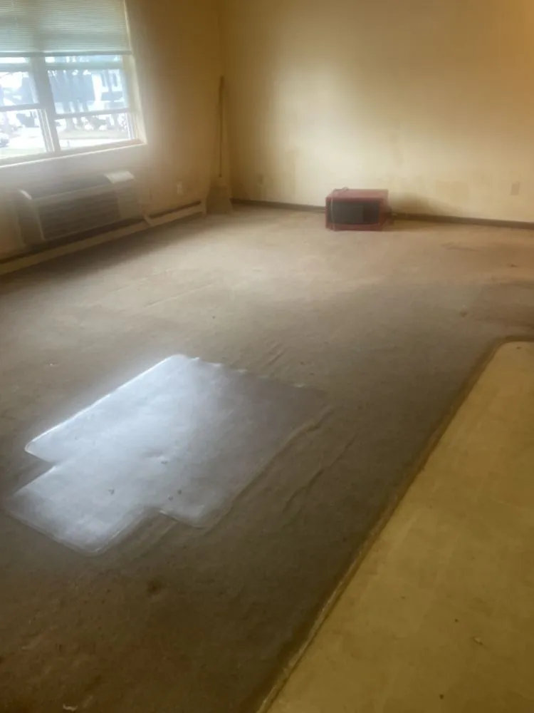 Affordable lawn care service in Greenfield, IN by V&D Real Estate Junk Removal