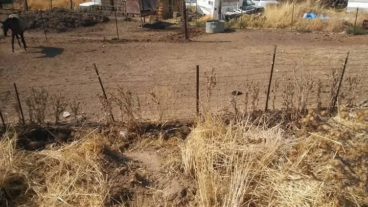 Trusted landscaping services experts serving Salt Lake City, UT - VDT Construction