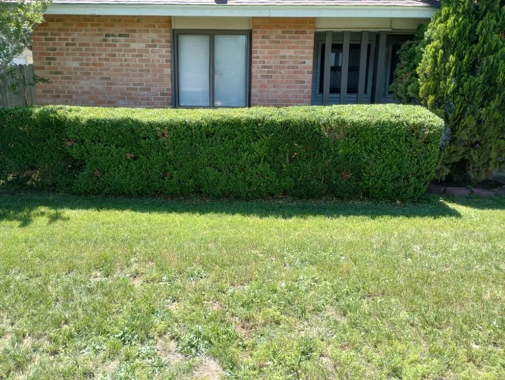 Trusted landscape installation with custom design across San Antonio, TX - V&E Landscaping And Lawn Care