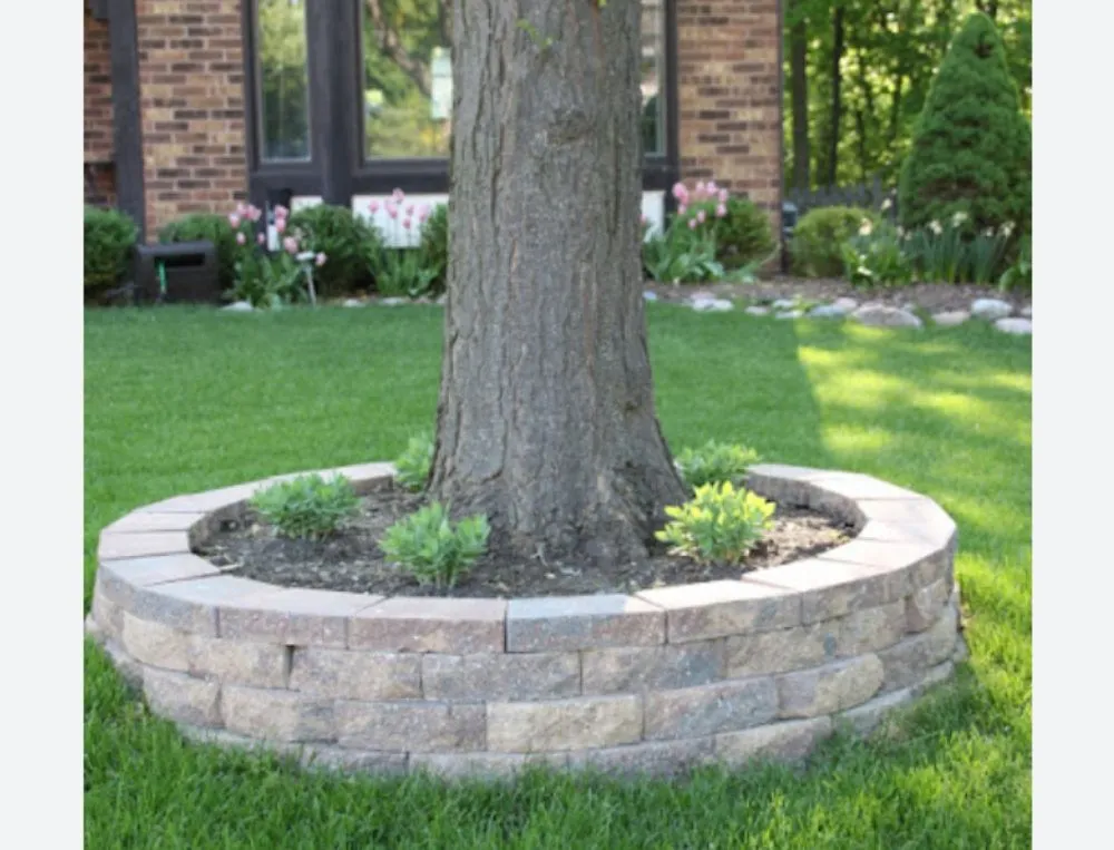 Custom yard maintenance in San Antonio, TX by V&E Landscaping And Lawn Care
