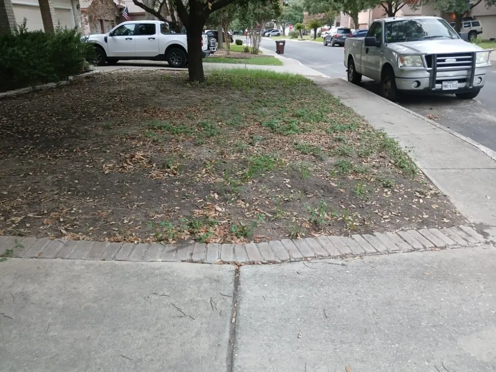 Expert landscaping services for beautiful yards in San Antonio, TX by V&E Landscaping And Lawn Care